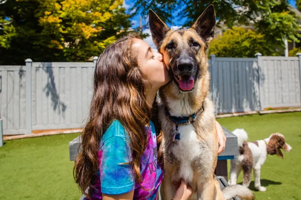 Dogs and team member at Dogs Dig It for About Us page Dogs and team member at Dogs Dig It for About Us page