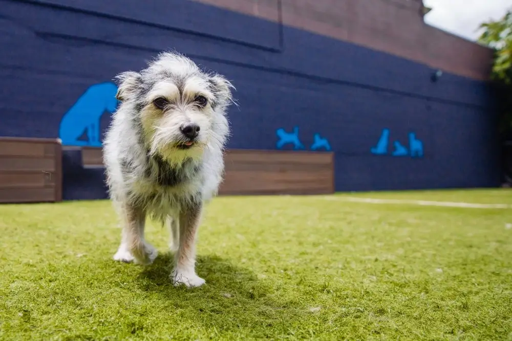 About-us-image-2 Daycare