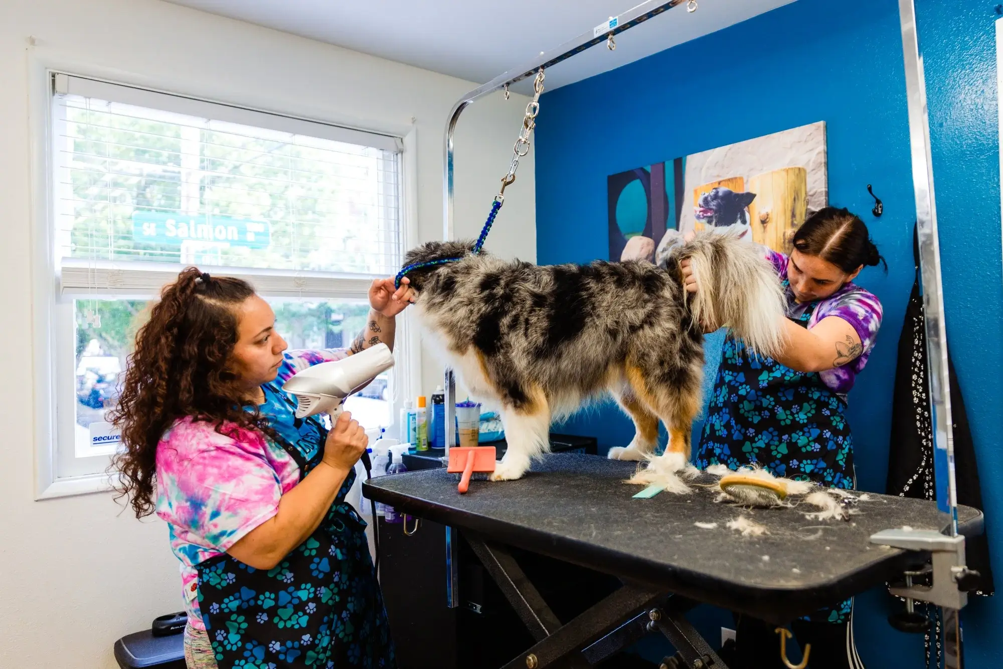 Dog-grooming-image-5 Full Service Grooming