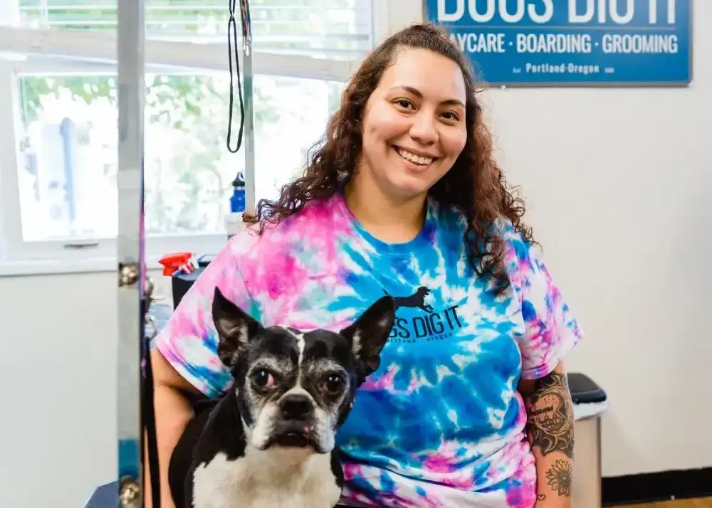 Dog-grooming-image-stress-free Daycare